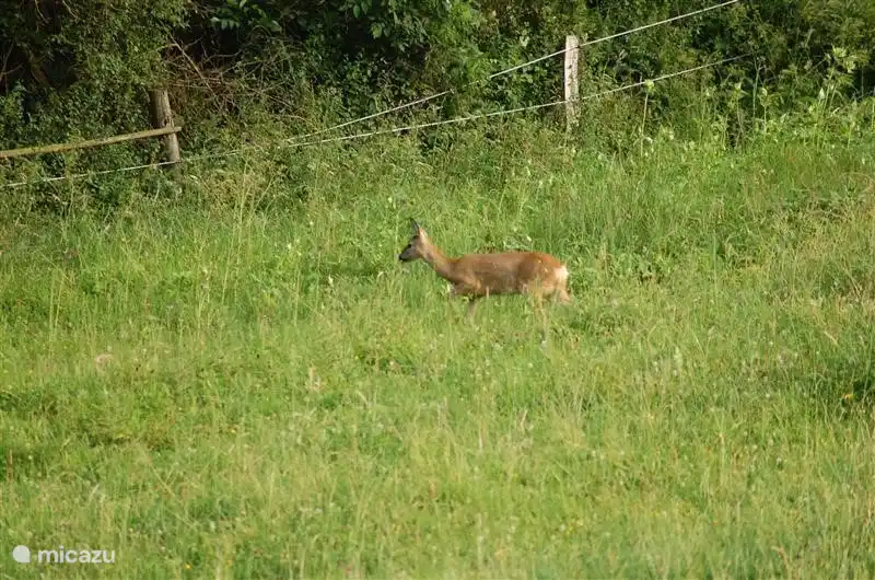 In der Nähe der Wohnung.