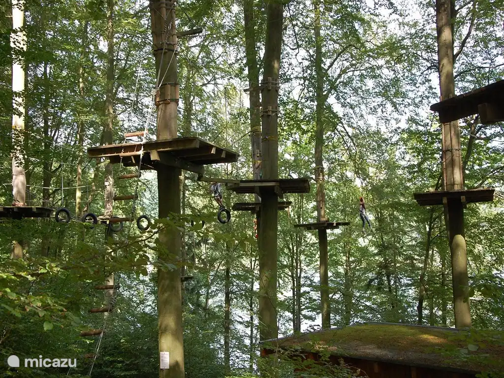 Ein Tag Baumklettern ist immer Spaß für die Kinder, der Edersee.