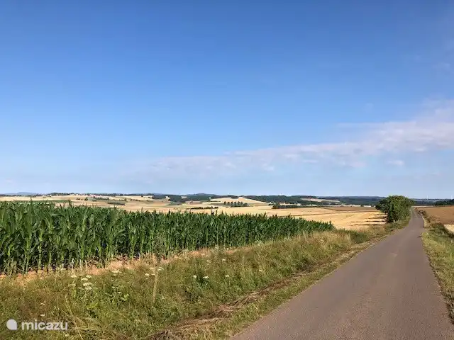 Schöner Spaziergang durch die vielen Wanderwege