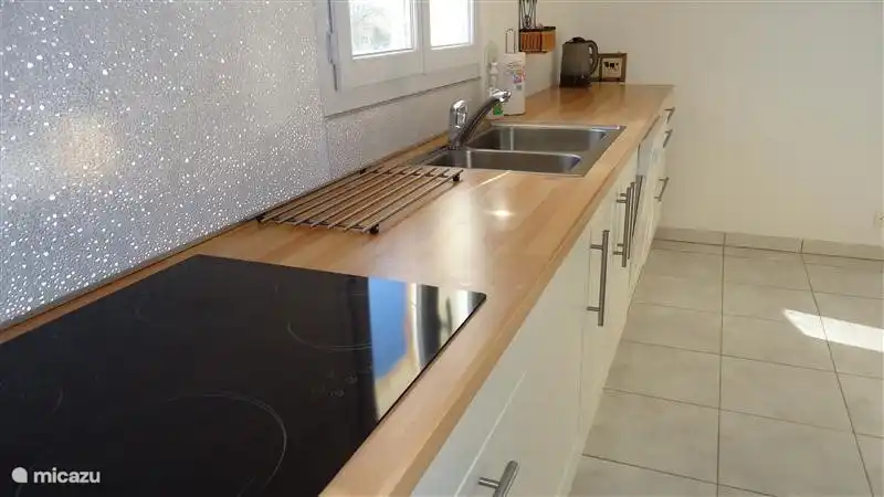 Küche mit reichlich Arbeitsfläche, Geschirrspüler, Induktionskochfeld und zwei Waschbecken.