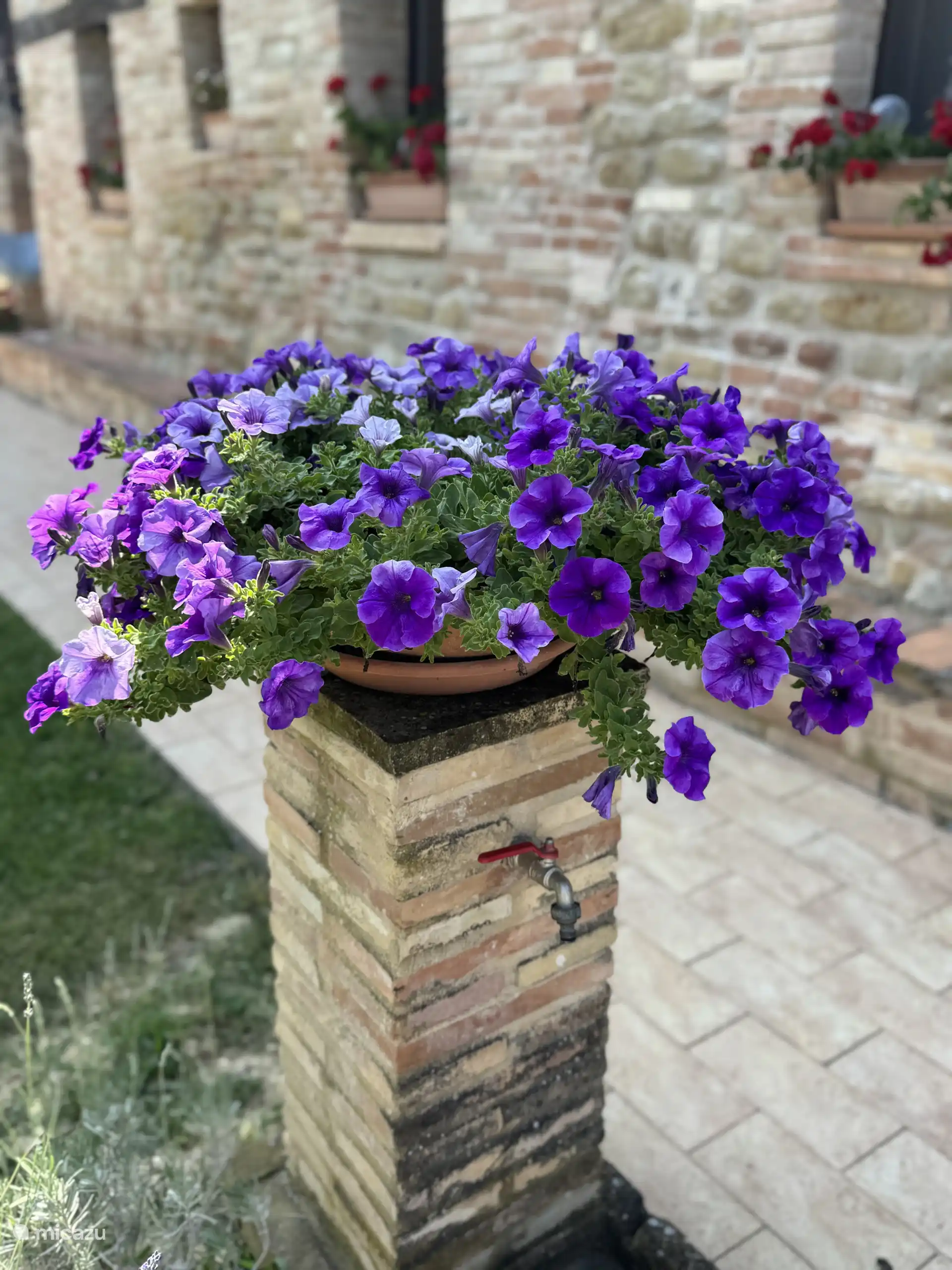 Bitte gießen Sie die Blumen, wenn Sie bei uns übernachten.