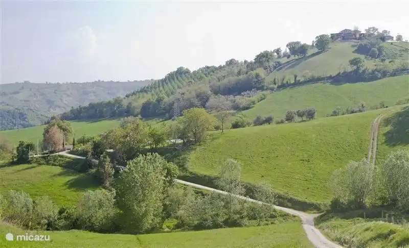 Zufahrtsstraße zum Haus, links auf dem Foto, hinter den Bäumen