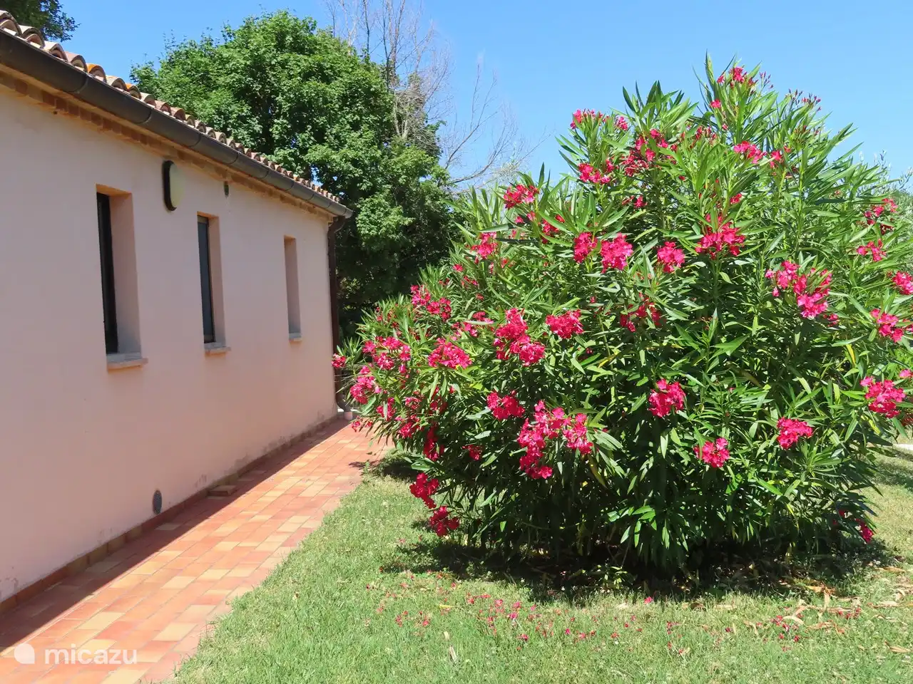 Seitenansicht Hütte