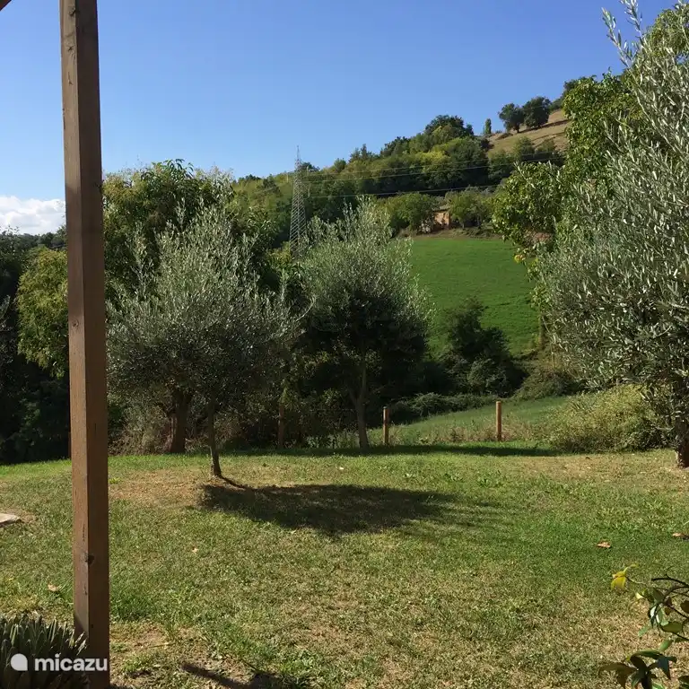 Das Ferienhaus verfügt über einen privaten Garten mit eigenen Olivenbäumen