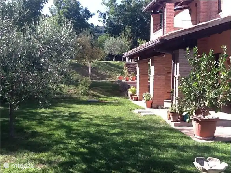 Gepflegter Garten (gesamtes Grundstück ca. 5000 m2) mit Schatten, Walnüssen, Oliven, Birnen, Feigen, wilden Pfirsichen, Kirschen, Äpfeln...