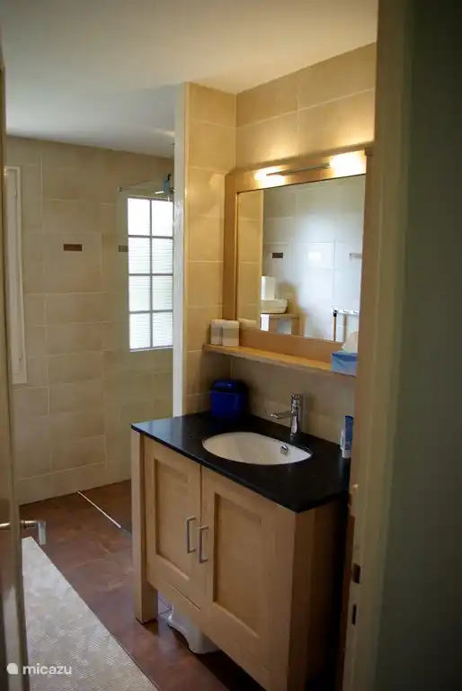 Salle de bain avec meuble vasque et douche à l'italienne