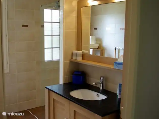 Thury | France, Yonne, Thury - maison de vacances Salle de bain avec meuble vasque et douche à l'italienne