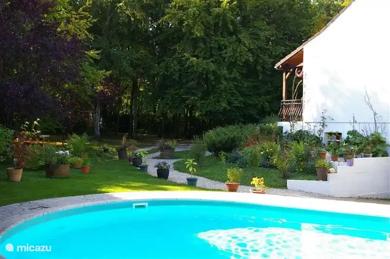 piscine et jardin.
