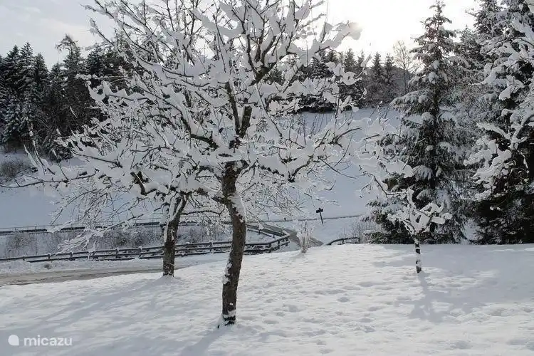 Ferienhaus Alte Mühle Fügenberg Zillertal Tirol 