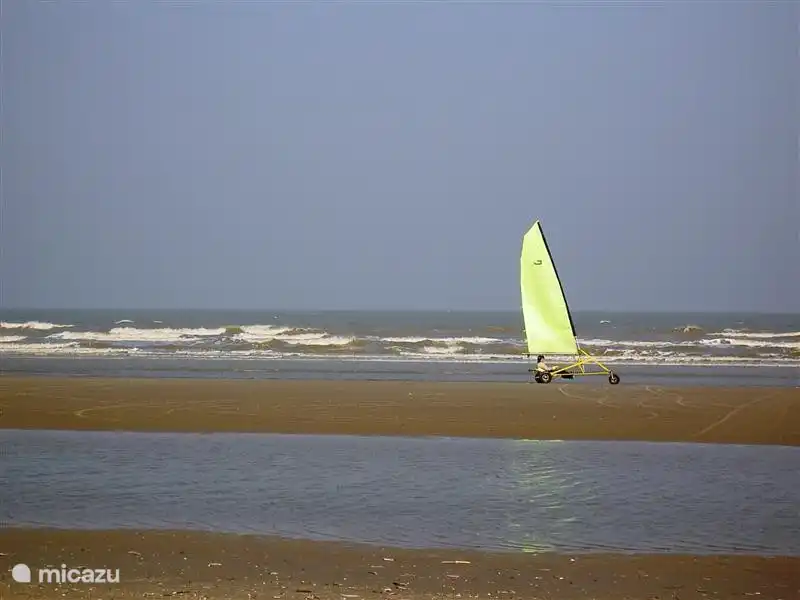 La Panne est connue pour ses marins de plage. Vous pouvez également prendre des cours vous-même. l'école est à distance de marche de l'appartement.