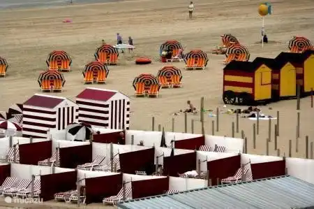 éléments caractéristiques donnent du charme à la plage