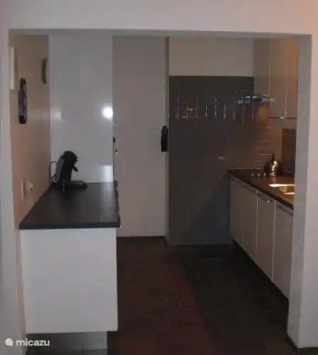 la cuisine spacieuse a été récemment entièrement rénovée. Il y a un plan de travail des deux côtés, ce qui rend également l'appartement idéal pour une sortie avec votre club de cuisine.