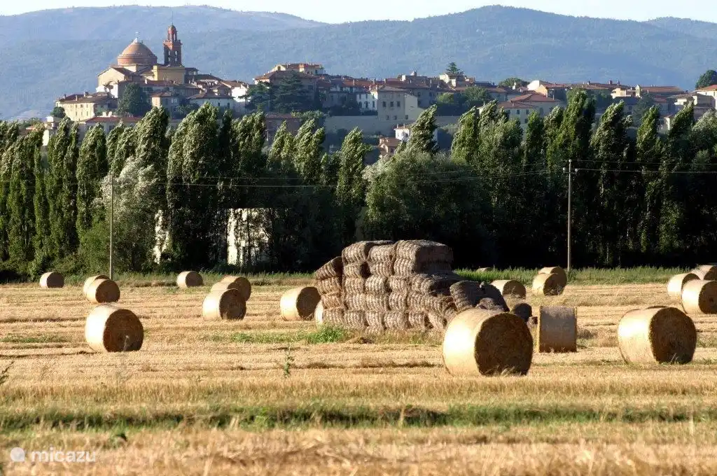 Castiglione del Lago
