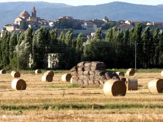 vakantiehuis huren in Italië, Umbrië, Panicale – Casa delle Rondini Castiglione del Lago