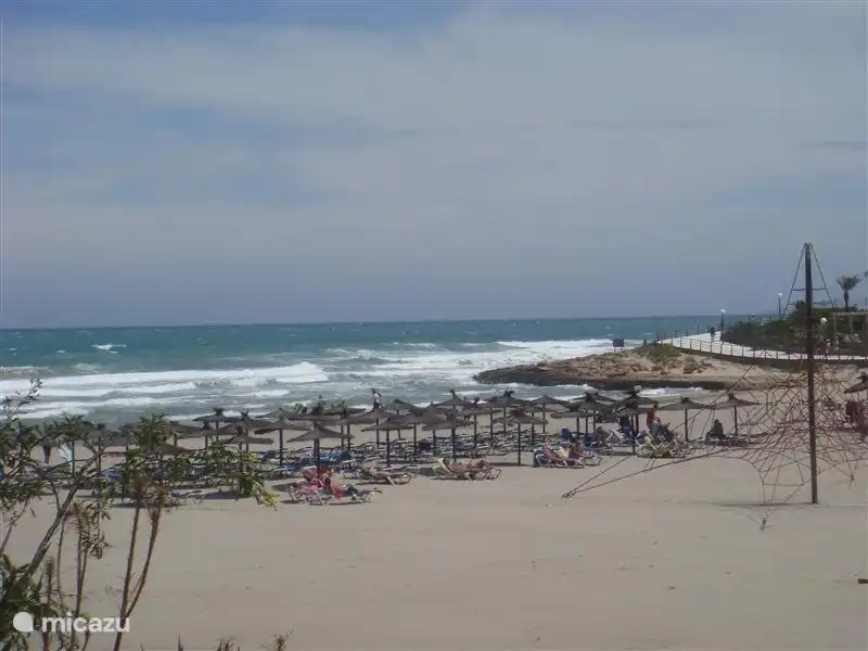 Die schönen, sauberen Sandstrand von La Zenia, um mit dem Auto in 10 Minuten erreicht werden. Andere Strände, die einen Besuch wert sind, sind Cabo Roig und Campoamor (auch innerhalb von 10 Minuten).