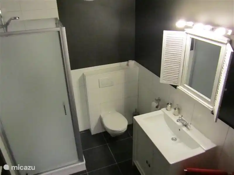 El segundo baño del primer piso, instalado en 2011, es moderno y atractivo.