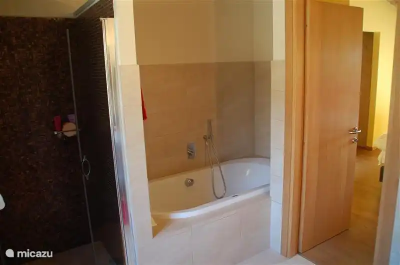 Bañera y ducha en el baño perteneciente al dormitorio principal