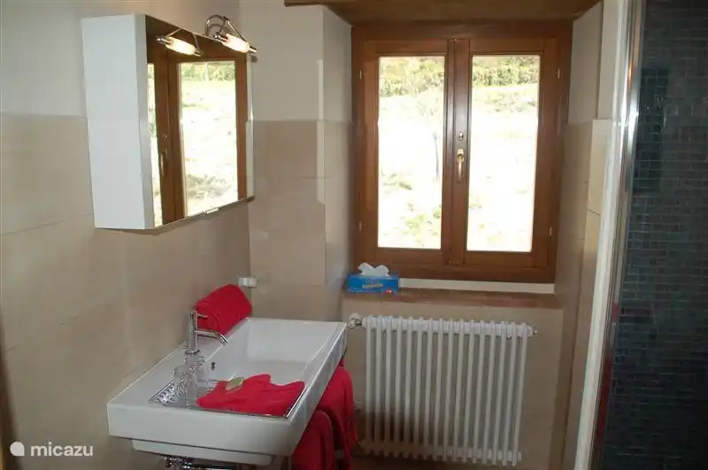 Baño perteneciente al dormitorio verde con ducha y WC.