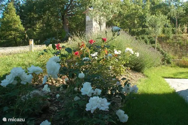 Directamente alrededor de la casa con entrada