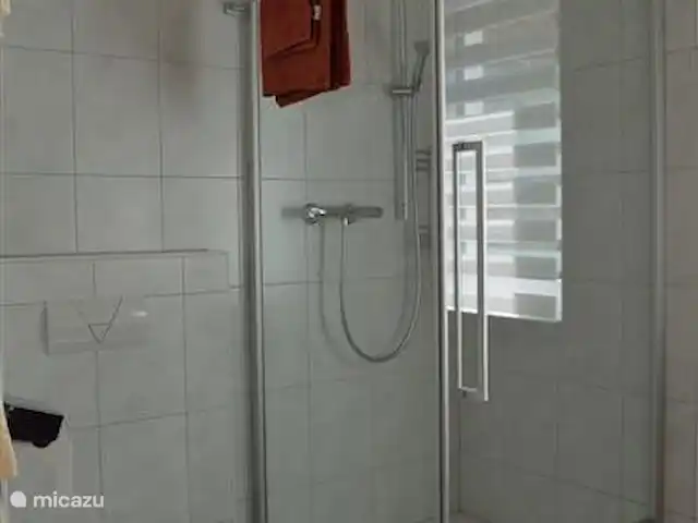 Casa Klein Rosental en Austria, Salzburgo, Neukirchen am Grossvenediger - apartamento Cabina de ducha (90x90) con grifo monomando termostático y espacio suficiente para guardar y colocar tu champú y espuma de ducha. Segundo aseo en el baño.