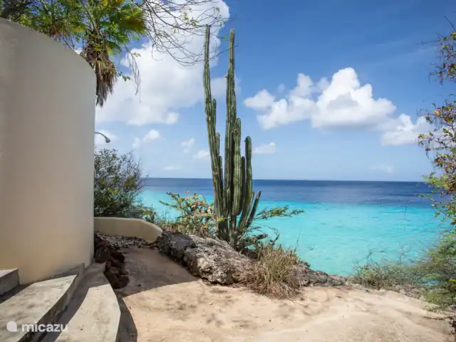 appartement huren in Curaçao, Banda Abou (west), Cas Abao – Cas Laman Abou Daarna doucht u zich heerlijk af onder uw eigen buitendouche, om vervolgens weer te relaxen op een van de terrassen.