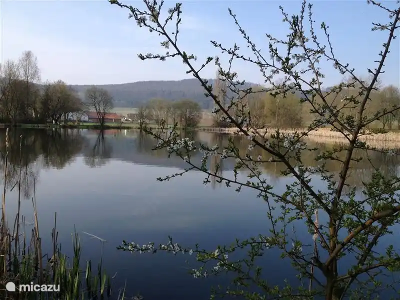schönen Teich neben dem Park