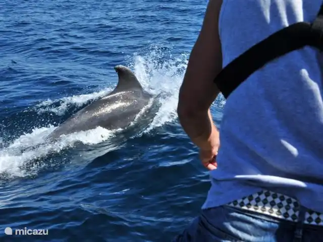 Maison Yvette | Portugal, Algarve, Albufeira - appartement ..... si près du bateau. Hautement recommandé!