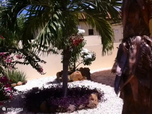 Casa Opal | Aruba, Nord, Rooi Santo - maison de vacances le jardin