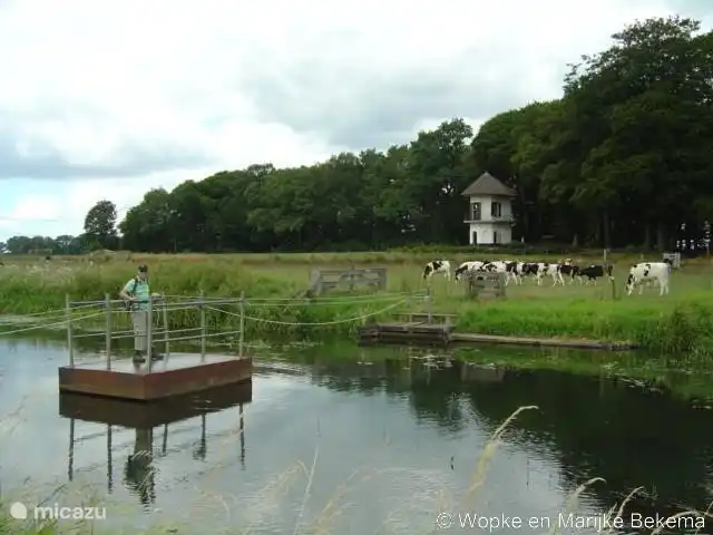 Die Fähren zu den Starren Dome