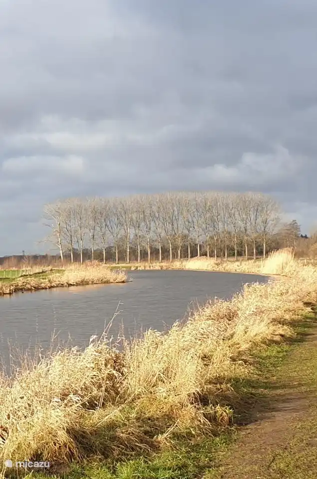 Fluss 'de Berkel' im Winter