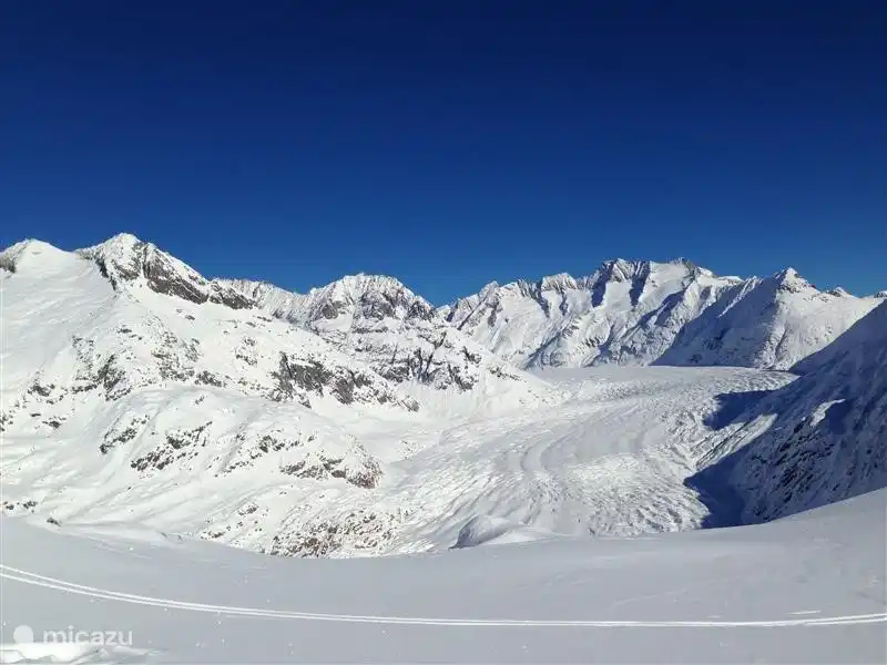 The Aletsch Glacier, breathtakingly beautiful and peaceful!