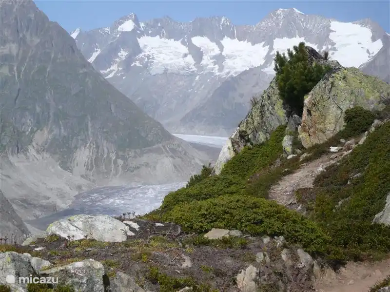 Aletsch Glacier, with the beautiful panorama Walking