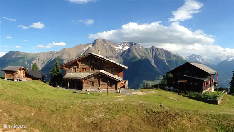 View from the balcony in summer
