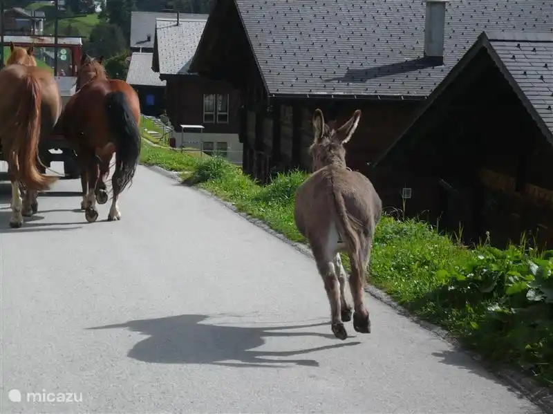 An authentic village!