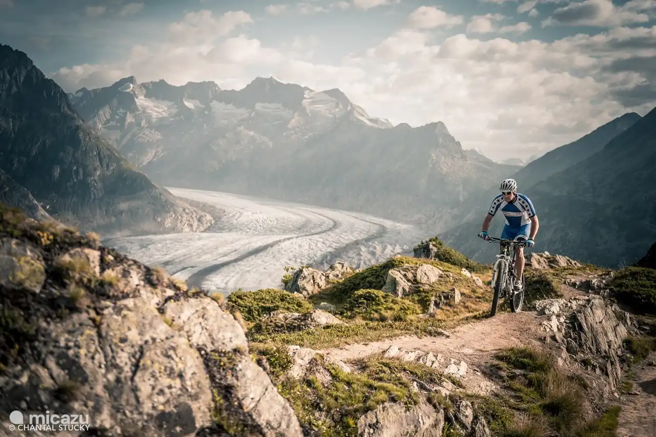 Beautiful mountain bike trails