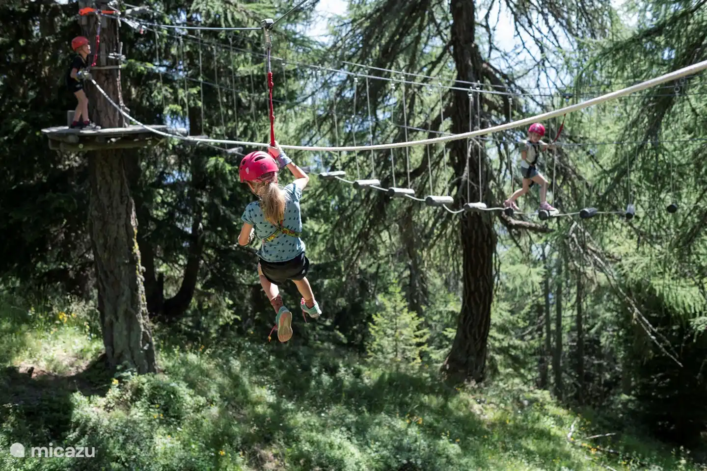 Unique climbing forest
