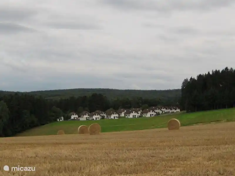 So herrlich liegt unser Dorf. Es gibt von der Datsja wunderbare Spaziergänge, sowohl durch den Wald als auch über die Felder drum herum.