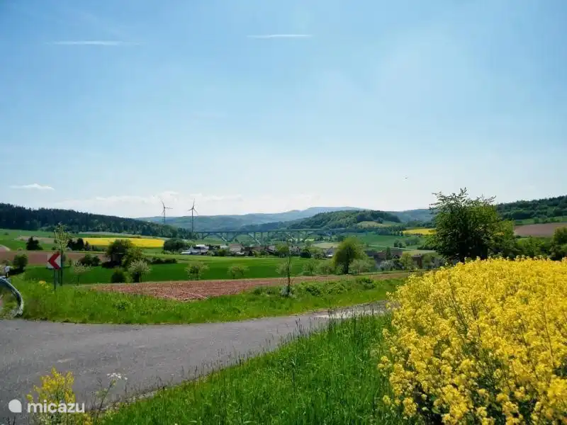 Ein Blick auf Kirchheim im Frühjahr.
Gelbe Rapsfelder, das kann man einfach nur genießen.