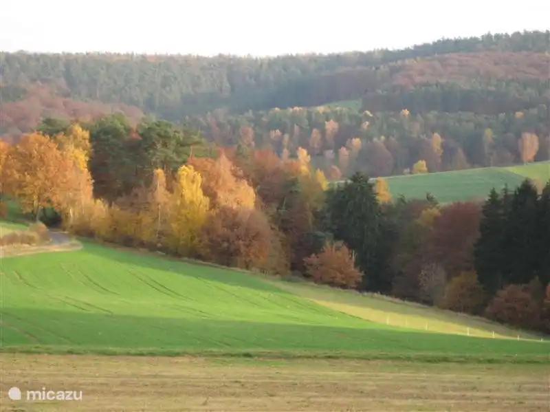 .... ..... schöne Färbung der Wälder in den Herbstmonaten