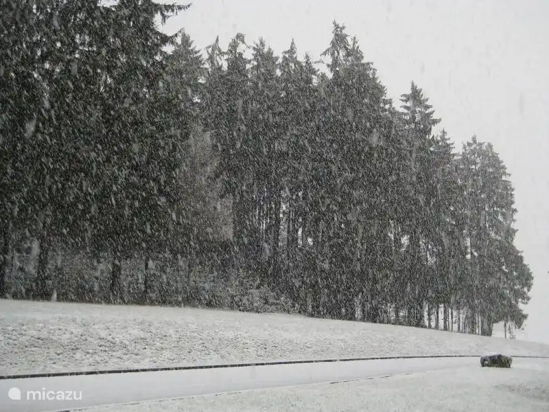 Die Aussicht von unserer Datsja im Winter.