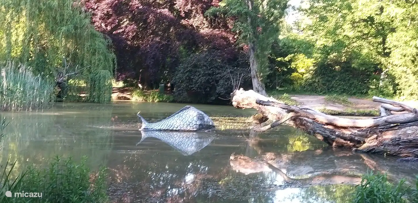 Ein Besuch im Botanischen Garten in Marburg