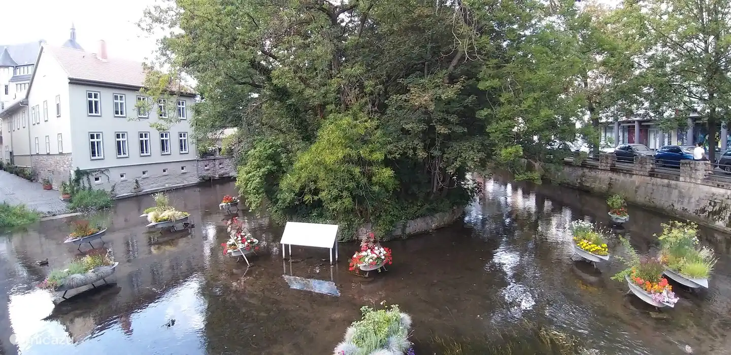 Bei unserem Spaziergang durch die Erfurter Altstadt sind wir auf diesen besonderen Ort gestoßen.