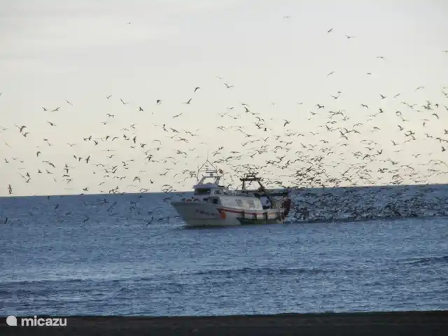 Vitoria Vue mer, piscine et aire de jeux | Espagne, Andalousie, Algarrobo - villa Chaque soir, au coucher du soleil, les bateaux de pêche partent. Peut être vu depuis le porche ou plus près de Caleta De Velez.