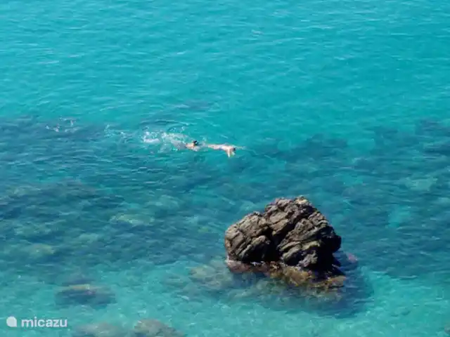Vitoria Vue mer, piscine et aire de jeux | Espagne, Andalousie, Algarrobo - villa Plongée en apnée