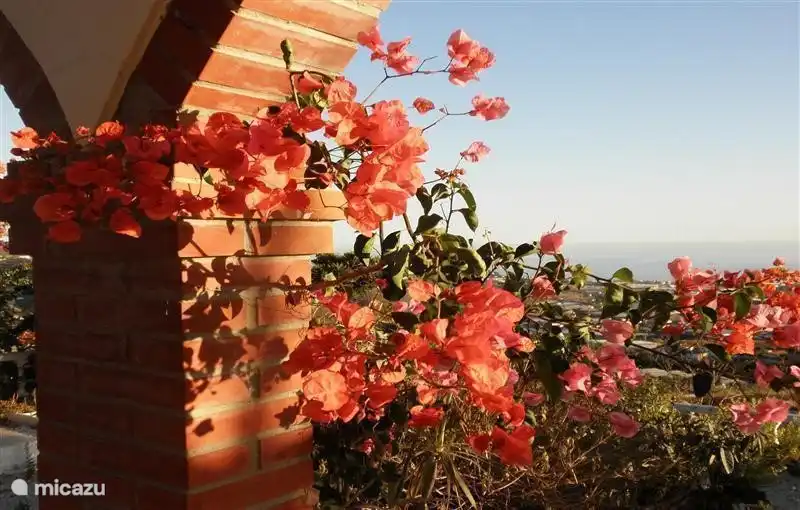 Uitzicht vanaf veranda