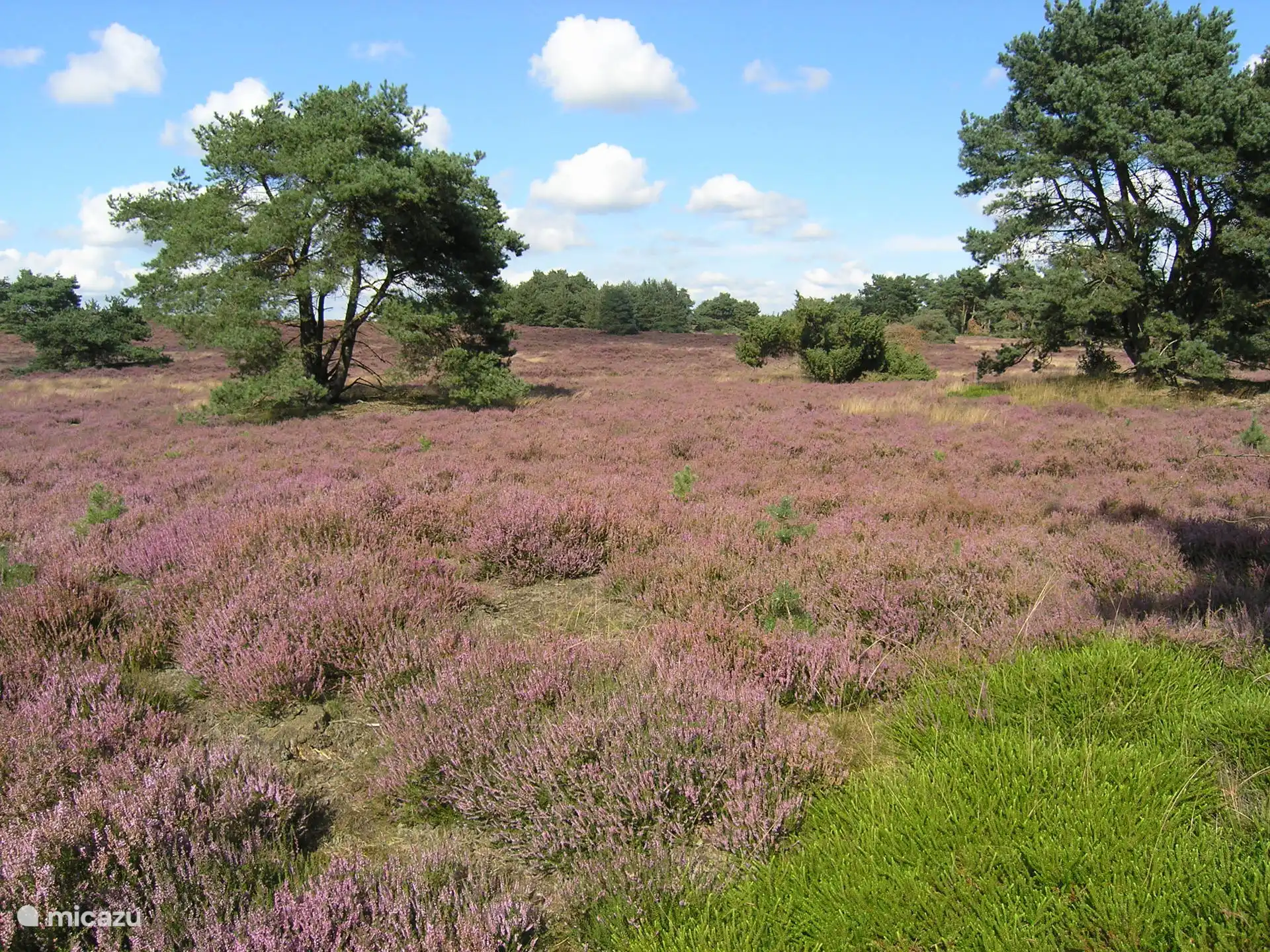 Itterbecker Heide accessible à pied