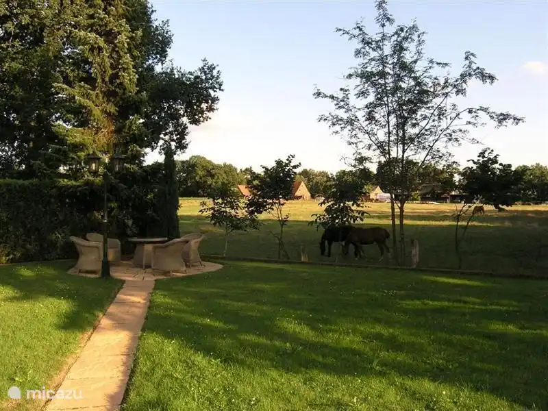 Derrière le jardin se trouve une prairie.