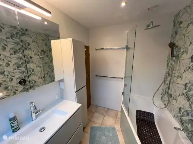 vakantiehuis huren in Duitsland, Nedersaksen, Itterbeck – Beltvilla 'Haus an der Heide' Badkamer met regendouche