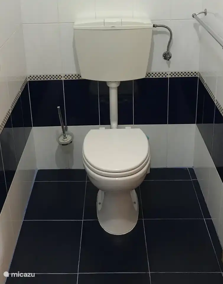 Toilette im Badezimmer im Erdgeschoss.