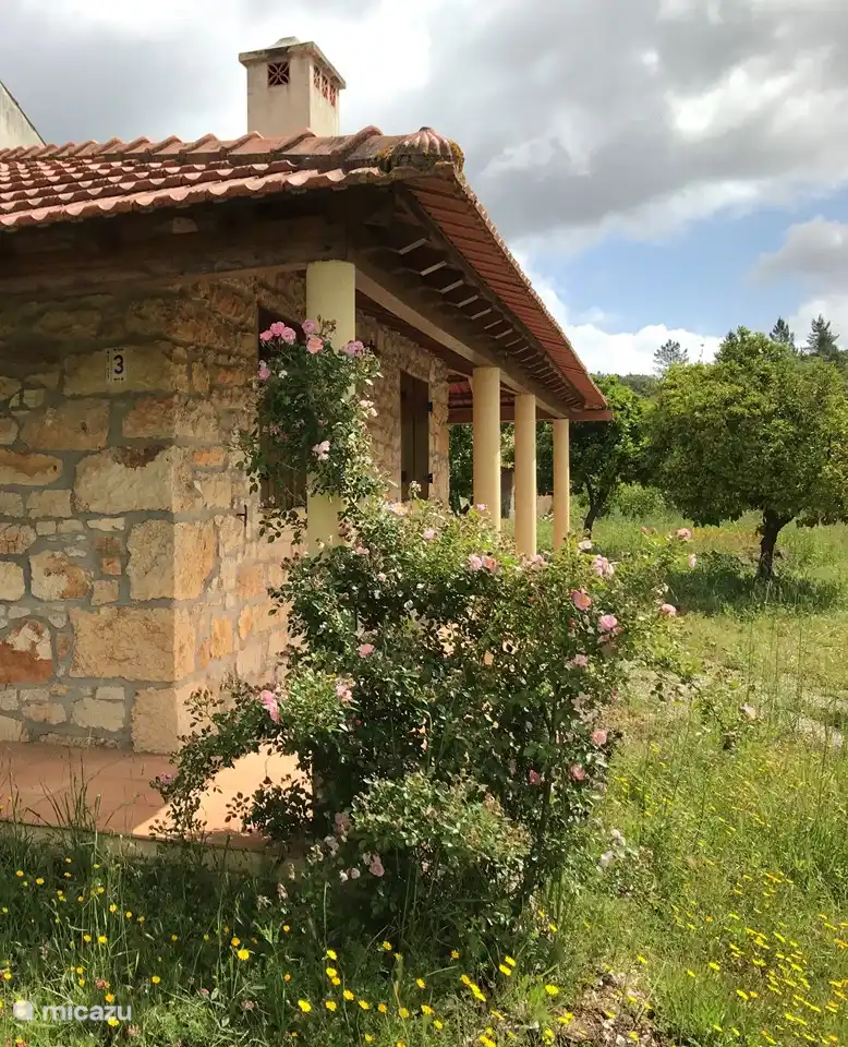Überdachter Gang zur Terrasse.